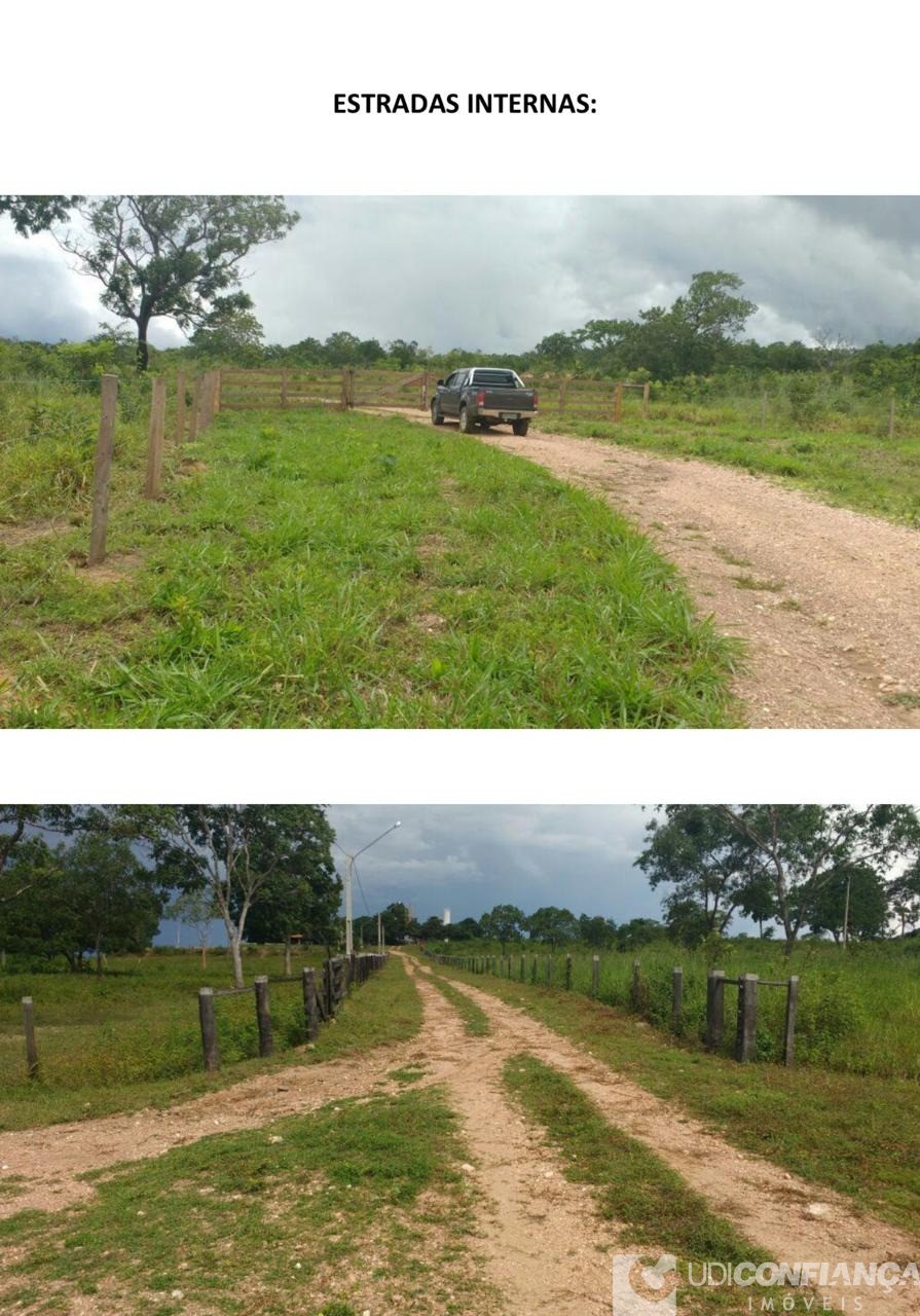 Fazenda à venda - Foto 7