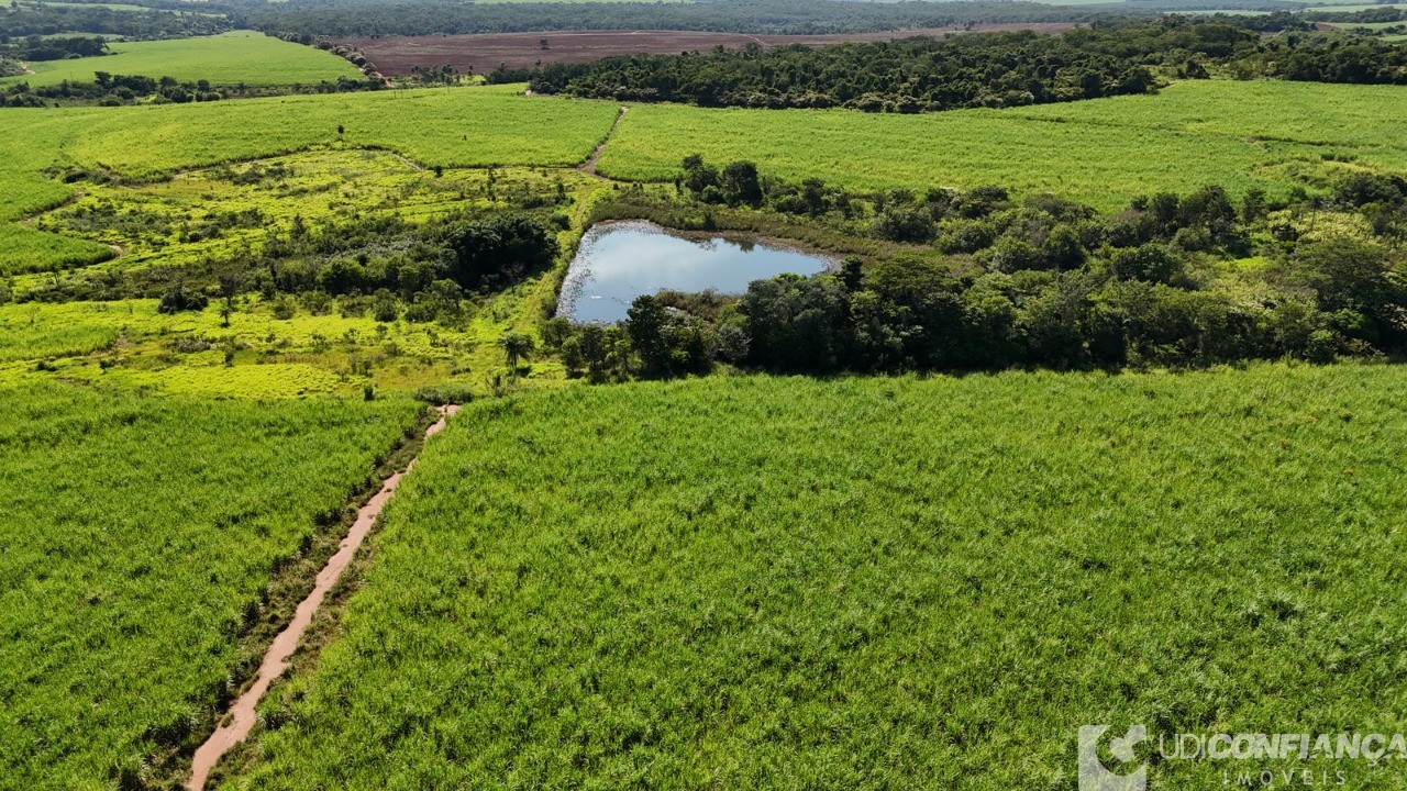 Fazenda à venda - Foto 9