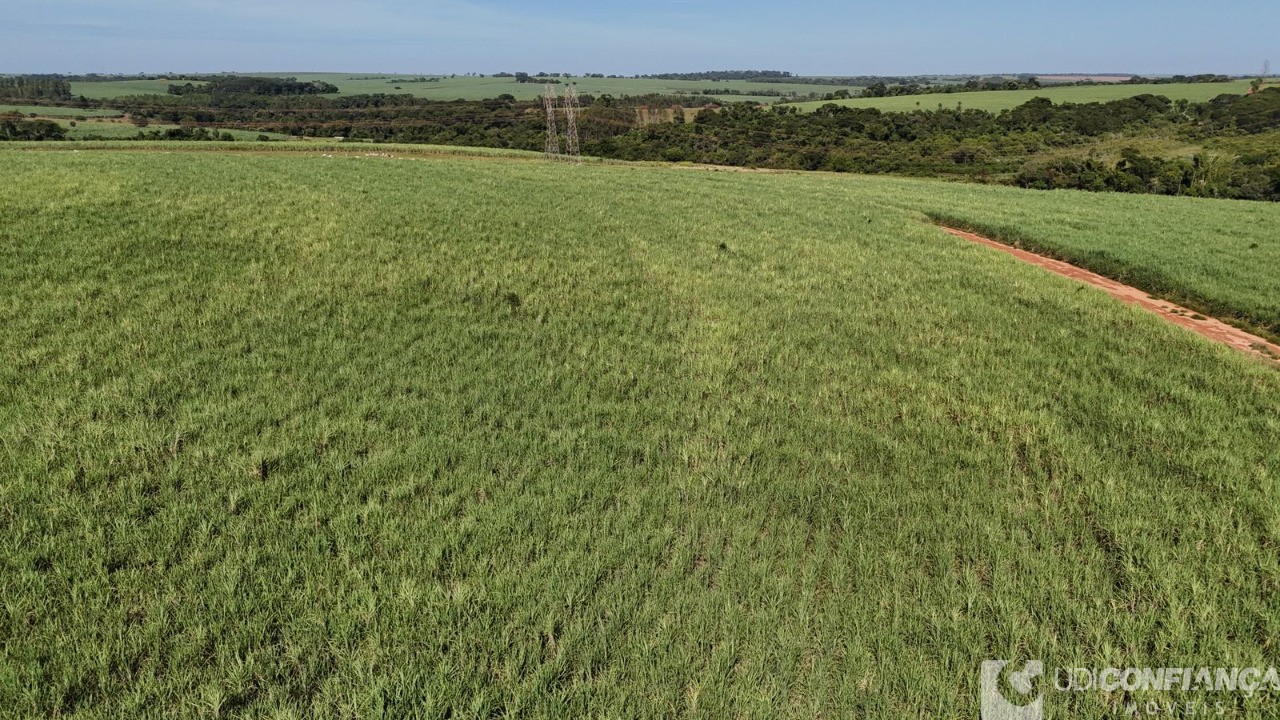 Fazenda à venda - Foto 10