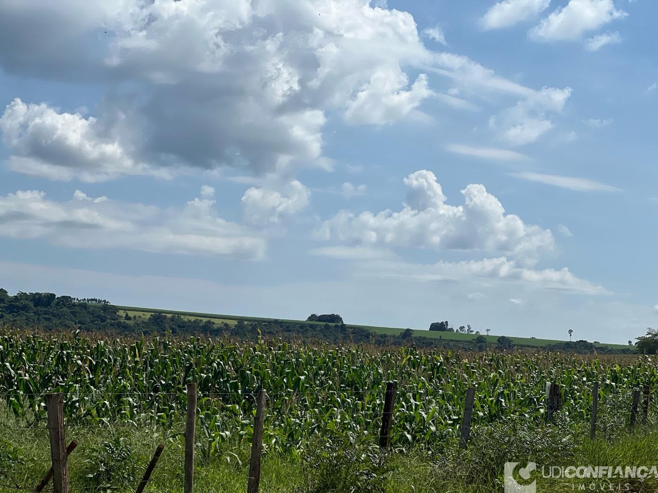 Fazenda à venda - Foto 8