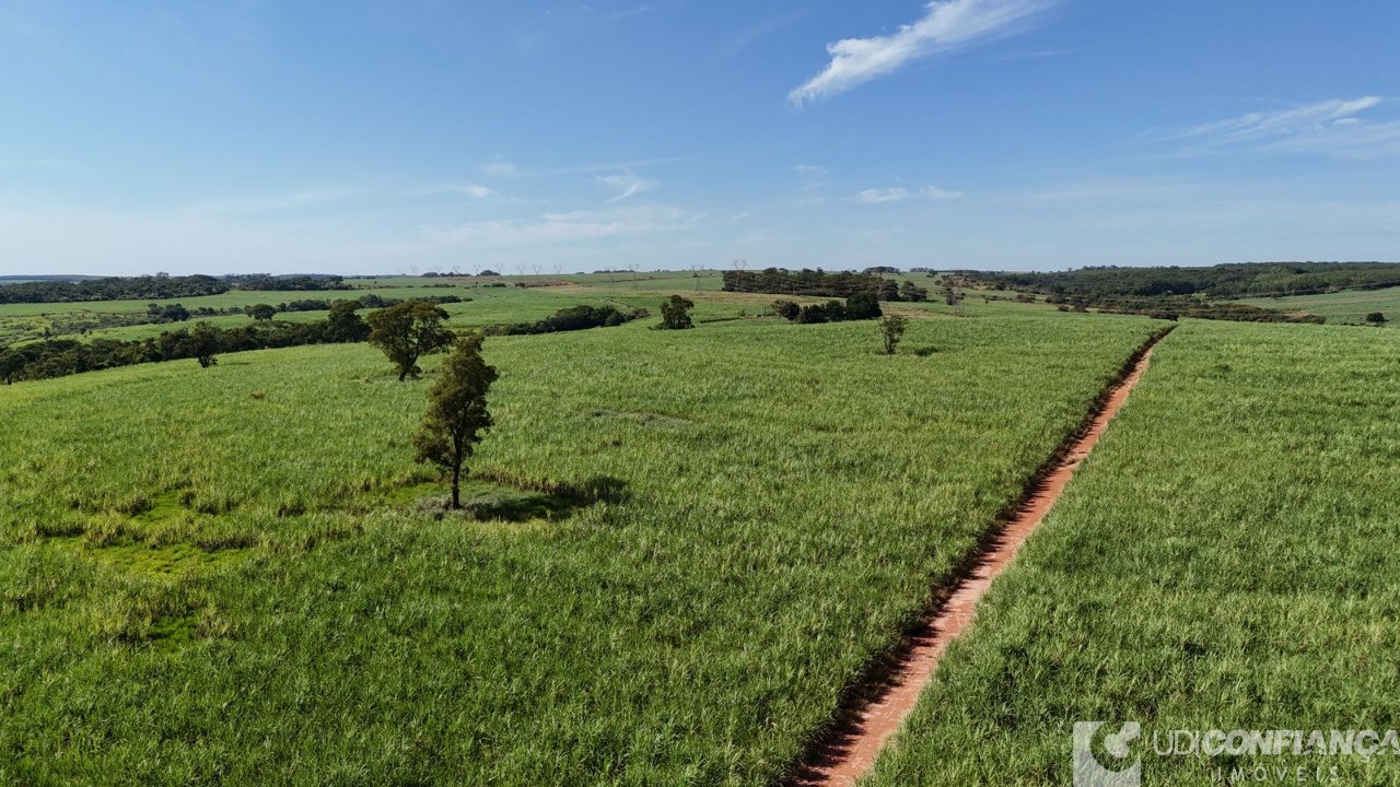 Fazenda à venda - Foto 8