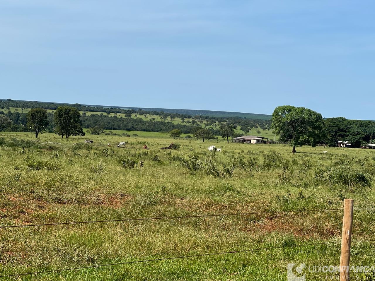 Fazenda à venda - Foto 4