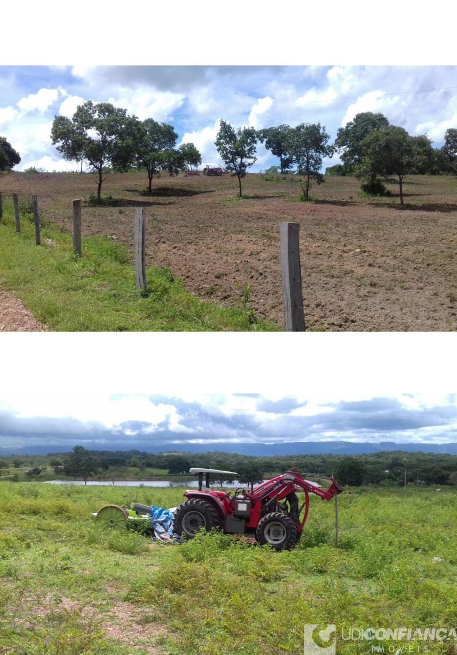 Fazenda à venda - Foto 12