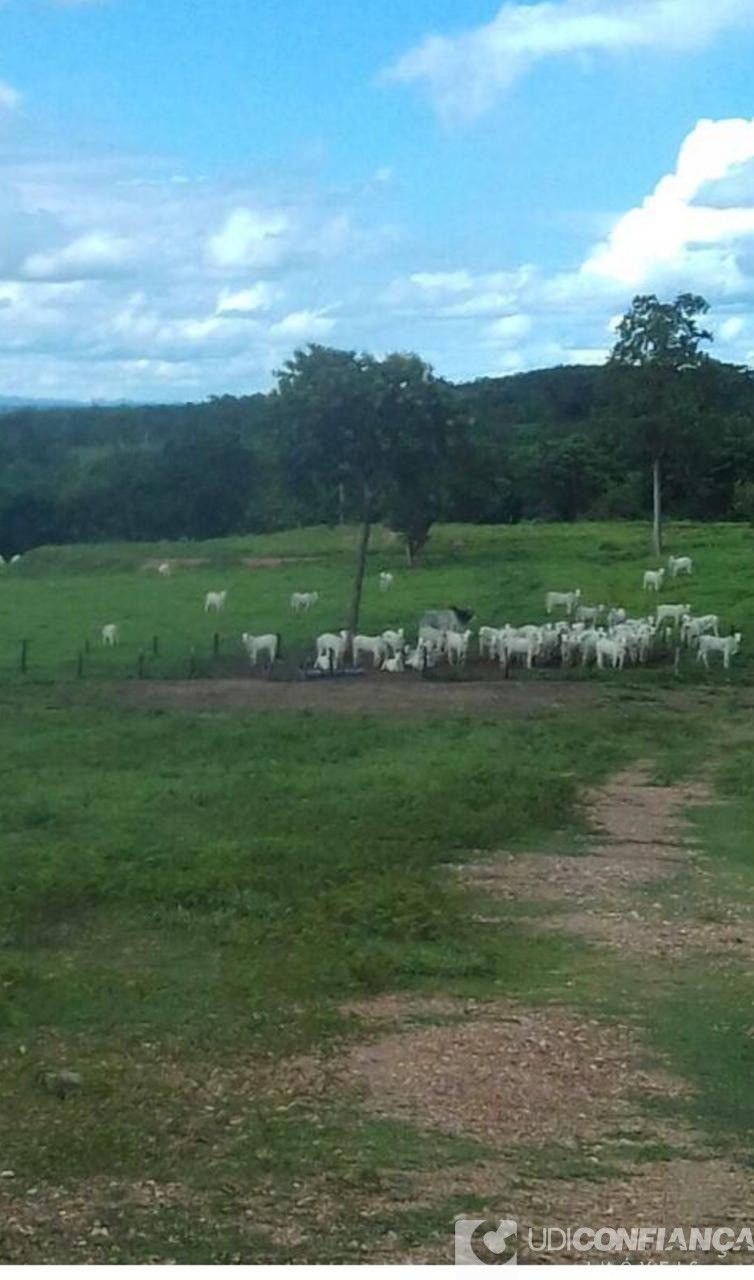 Fazenda à venda - Foto 10