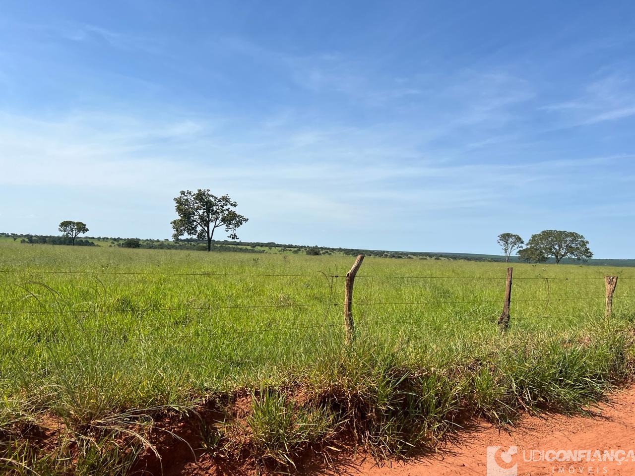 Fazenda à venda - Foto 6