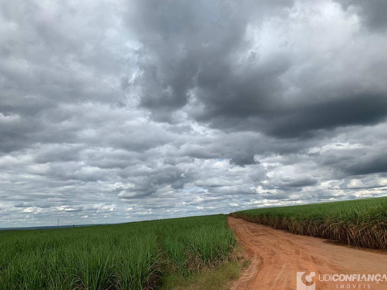 Fazenda à venda - Foto 3