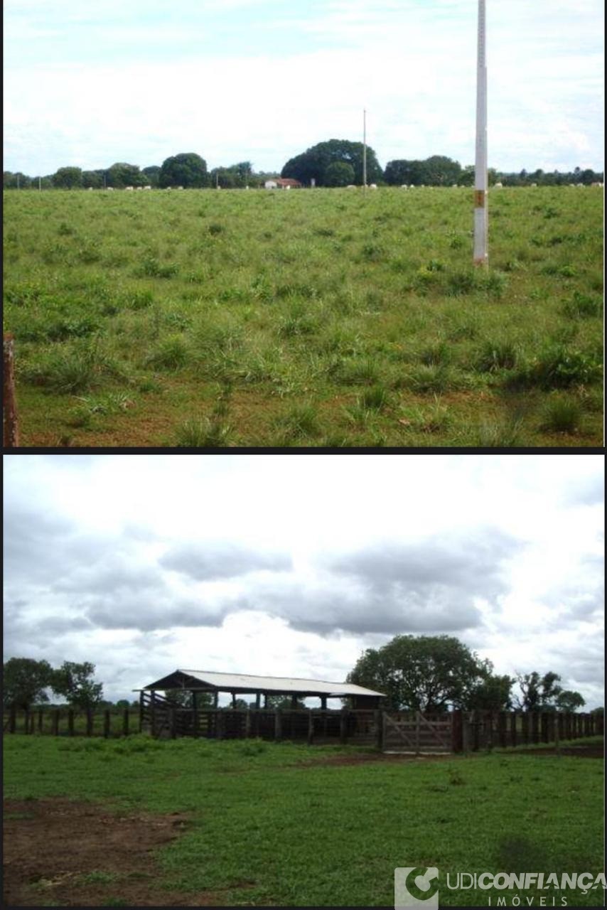 Fazenda à venda - Foto 6