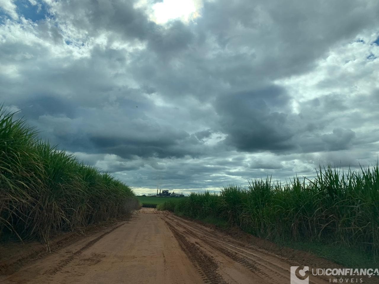 Fazenda à venda - Foto 6