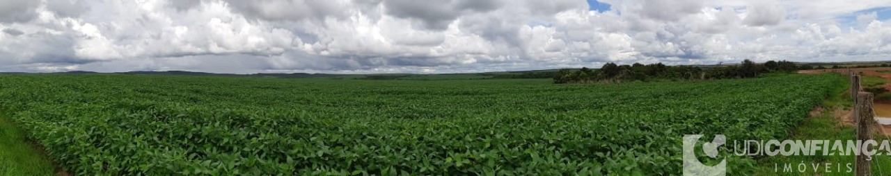 Fazenda à venda - Foto 6