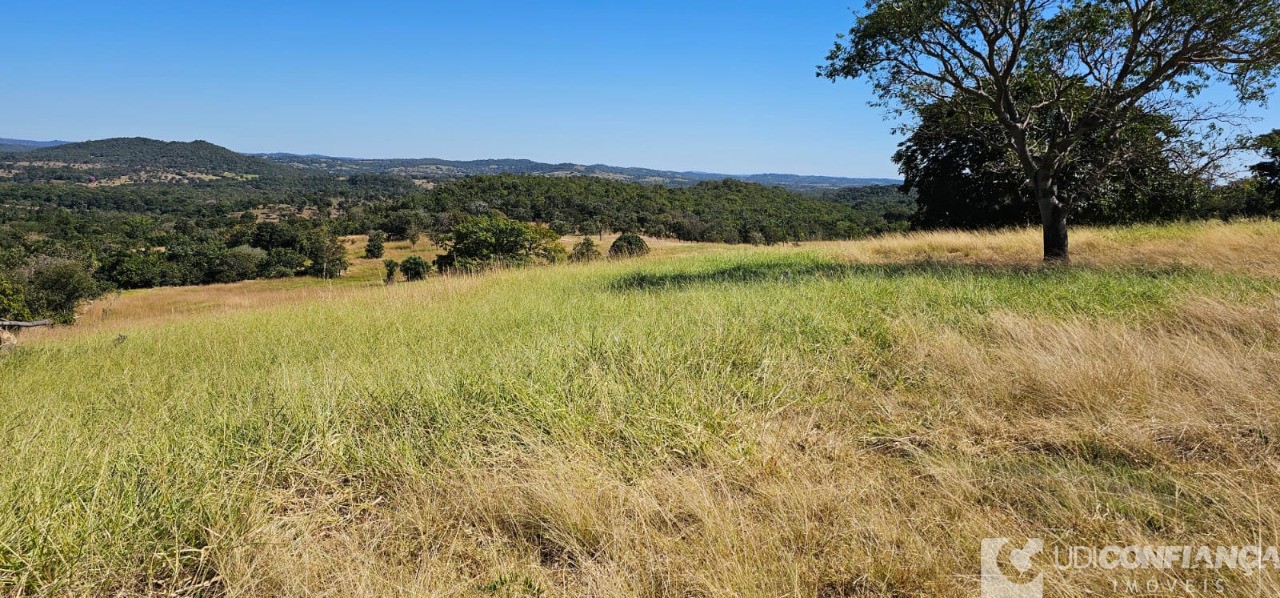 Fazenda à venda - Foto 4