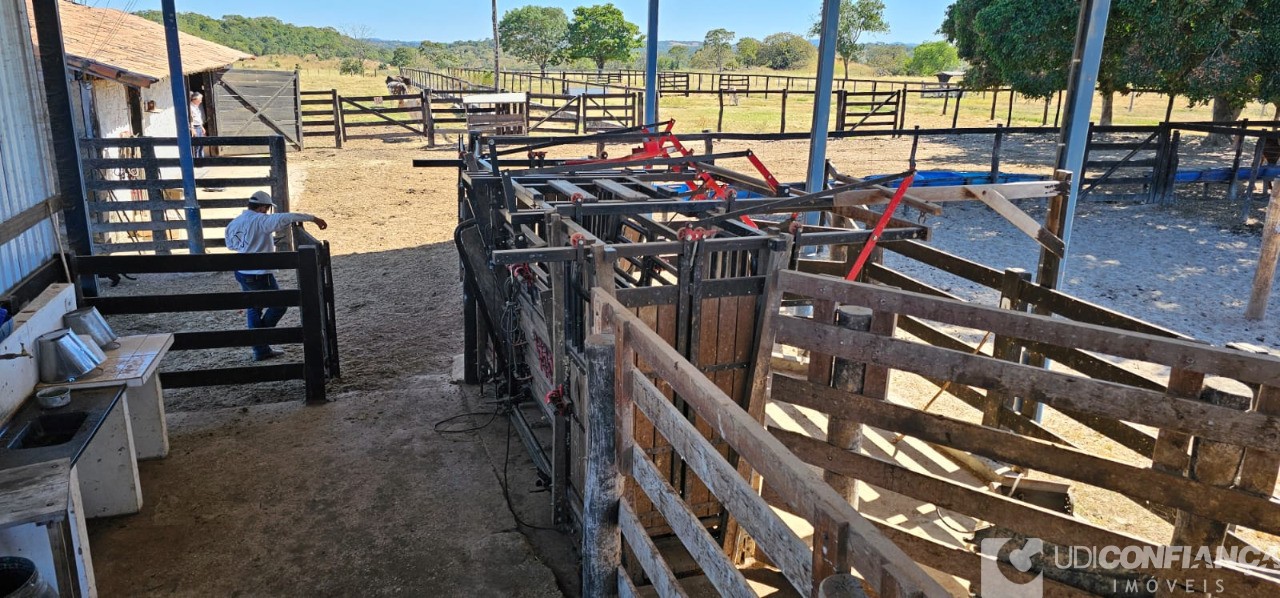 Fazenda à venda - Foto 41