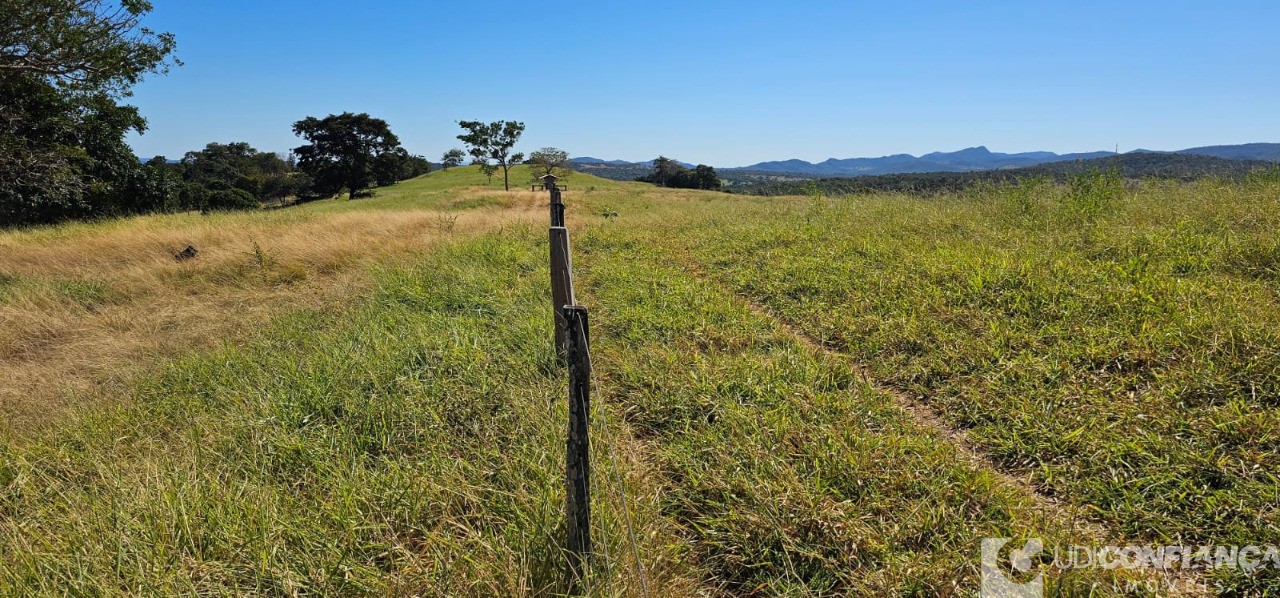 Fazenda à venda - Foto 13