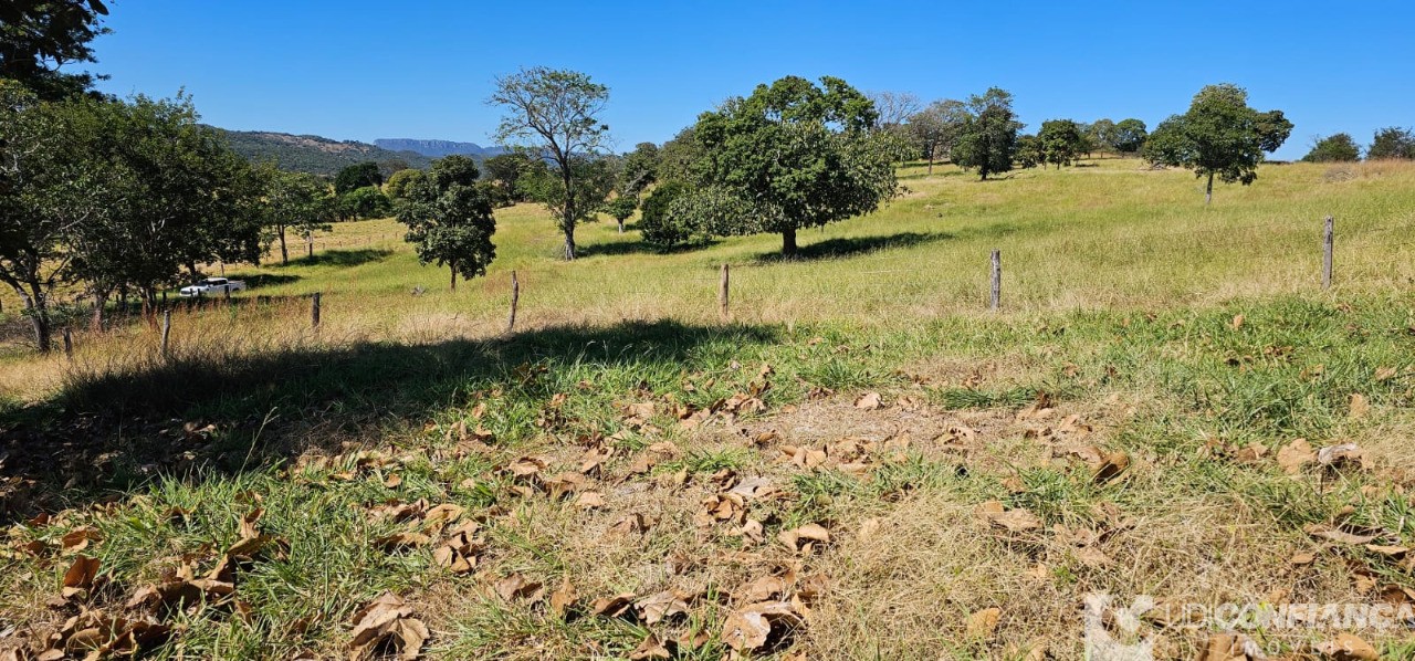 Fazenda à venda - Foto 3