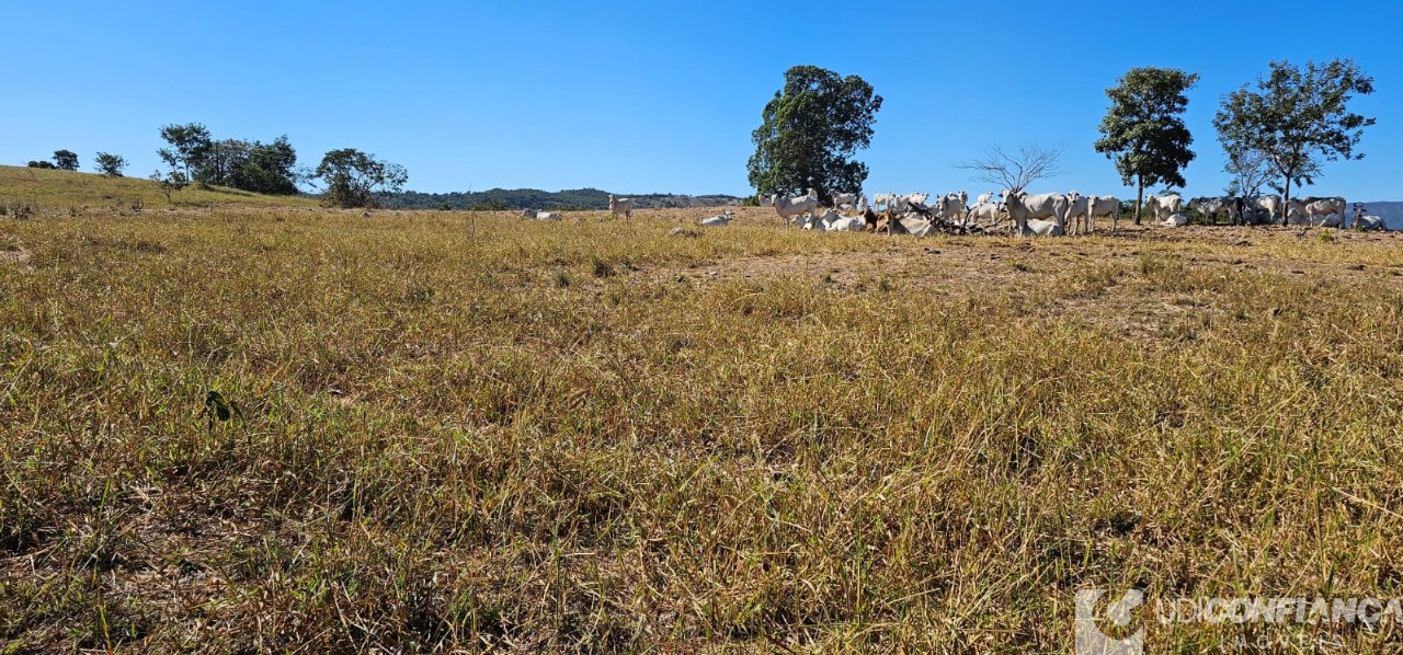 Fazenda à venda - Foto 21