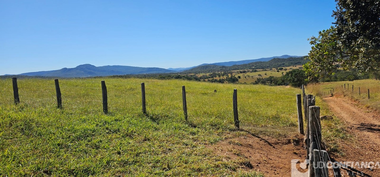 Fazenda à venda - Foto 42