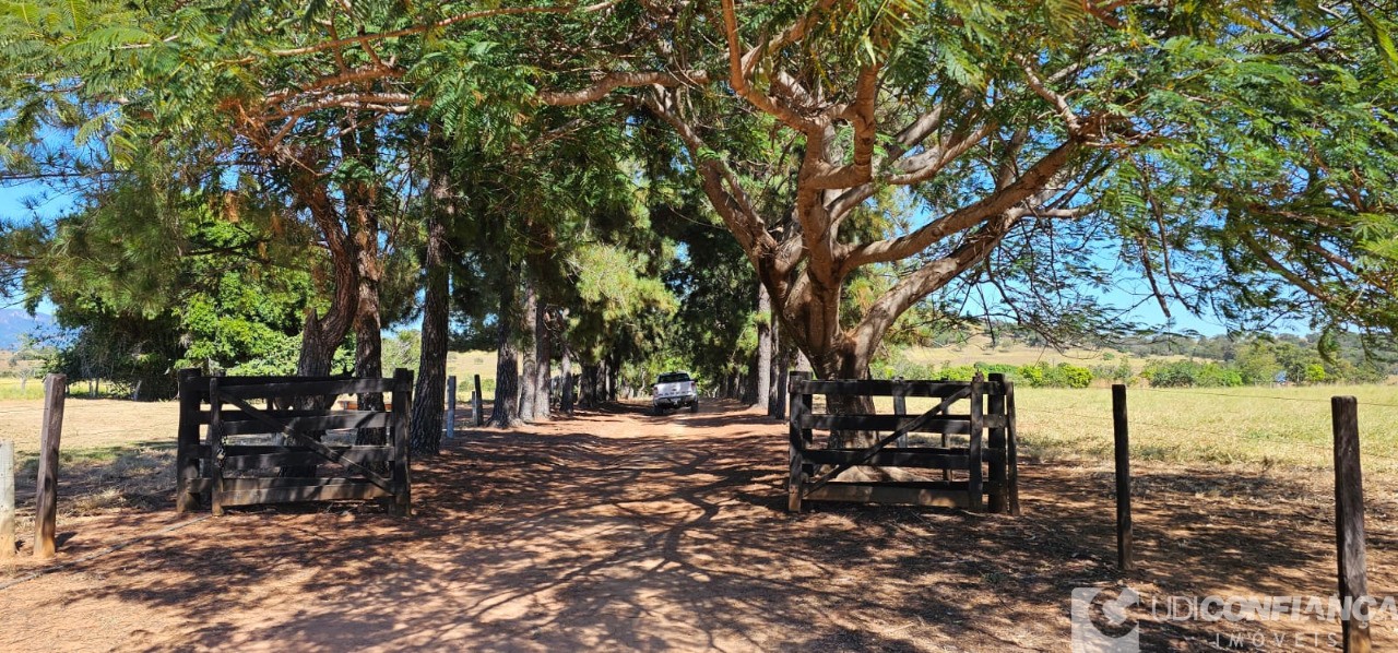 Fazenda à venda - Foto 8