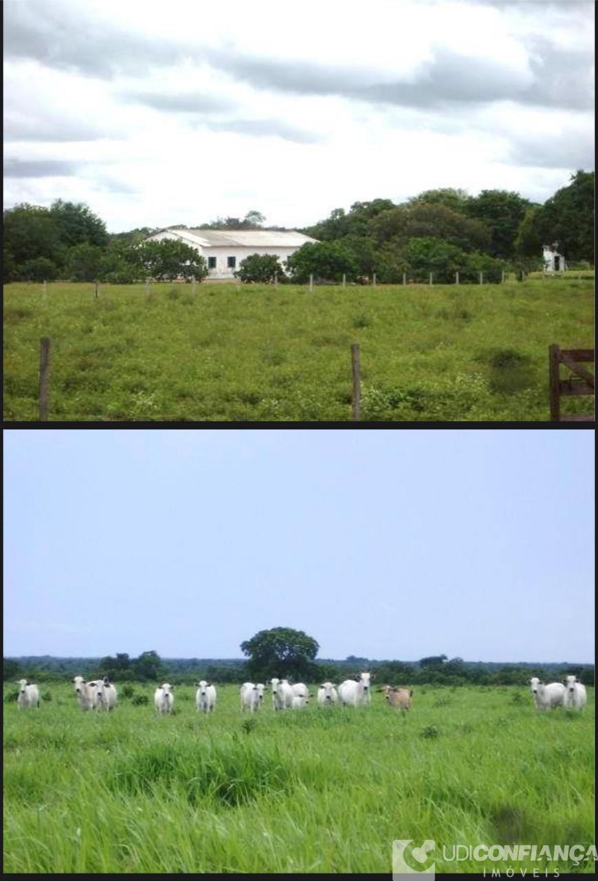 Fazenda à venda - Foto 10