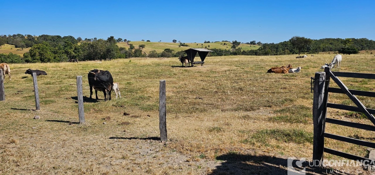 Fazenda à venda - Foto 11