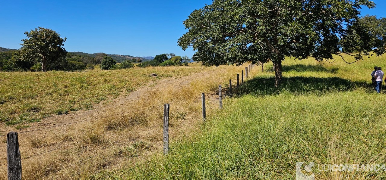 Fazenda à venda - Foto 10