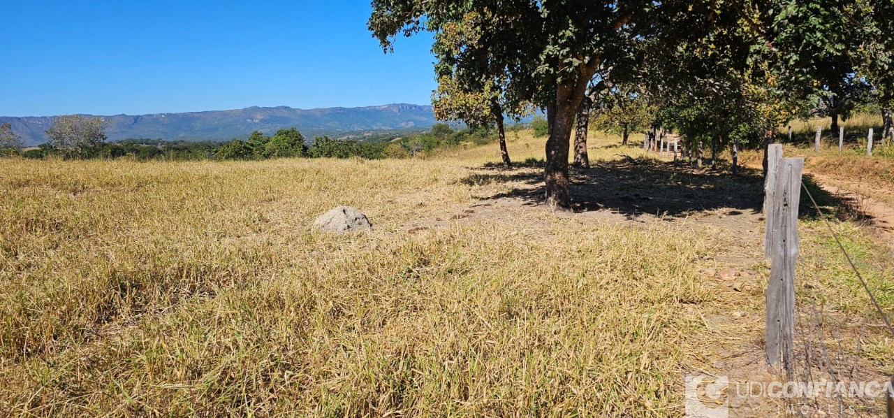 Fazenda à venda - Foto 49