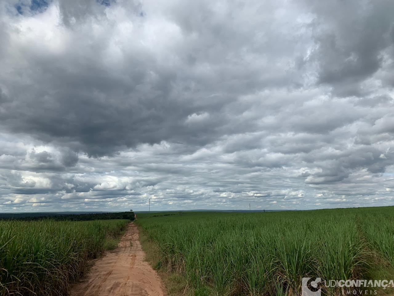 Fazenda à venda - Foto 4