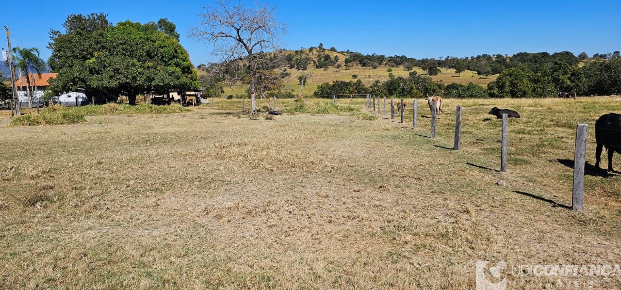 Fazenda à venda - Foto 45