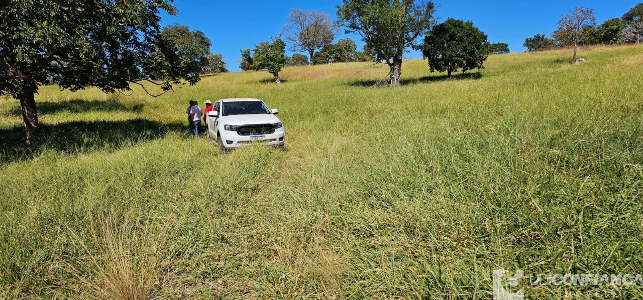 Fazenda à venda - Foto 7