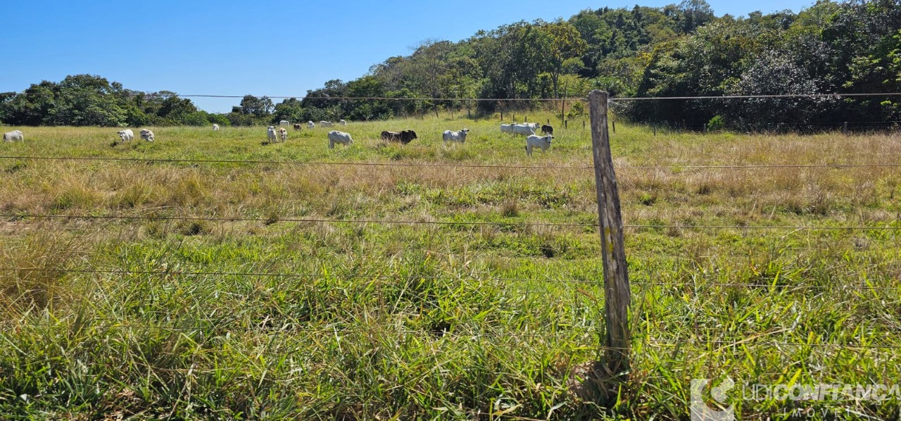 Fazenda à venda - Foto 19