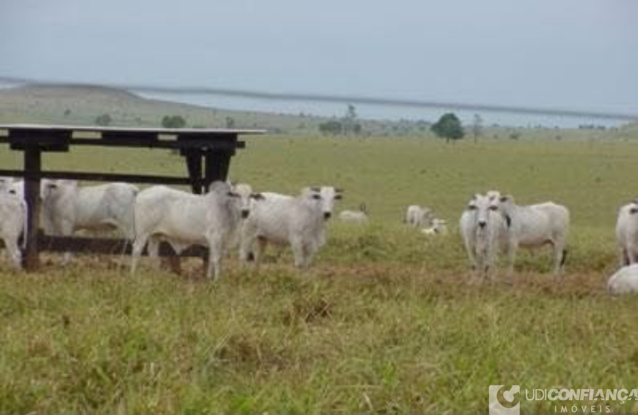 Fazenda à venda - Foto 7