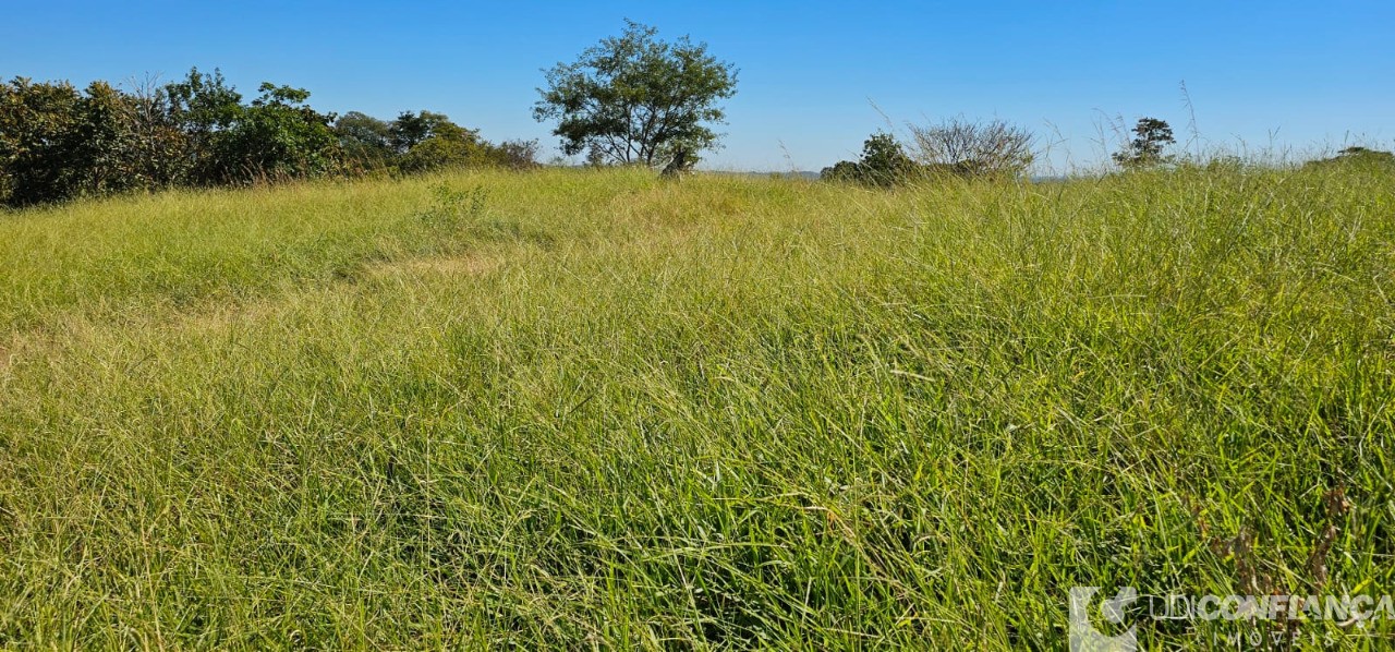 Fazenda à venda - Foto 44