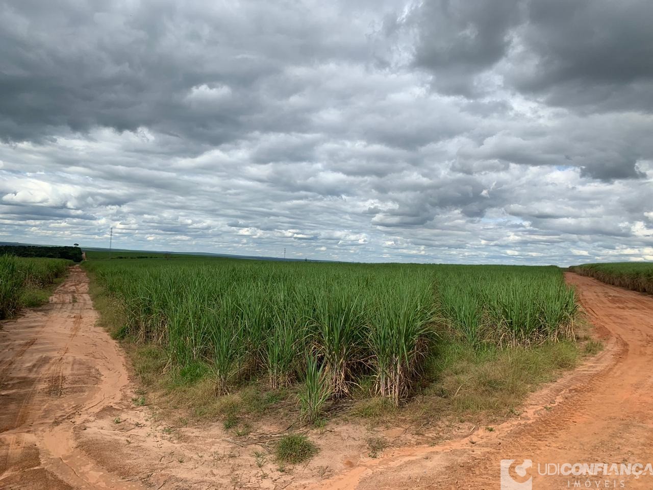 Fazenda à venda - Foto 5