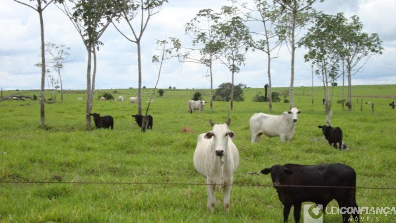 Fazenda à venda - Foto 19