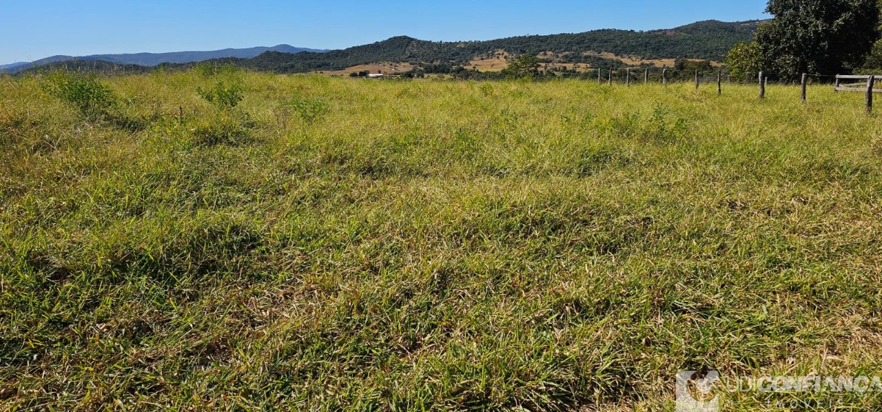 Fazenda à venda - Foto 38