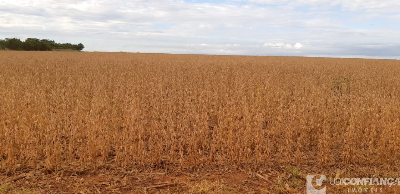 Fazenda à venda - Foto 4