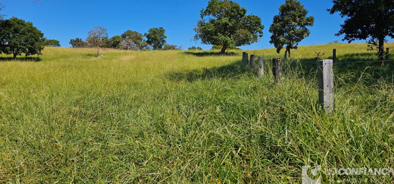 Fazenda à venda - Foto 34