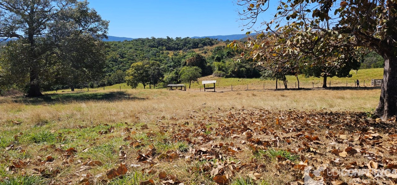 Fazenda à venda - Foto 36