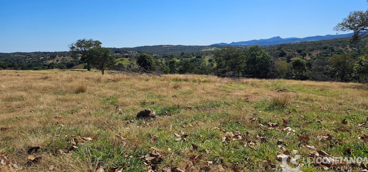 Fazenda à venda - Foto 31