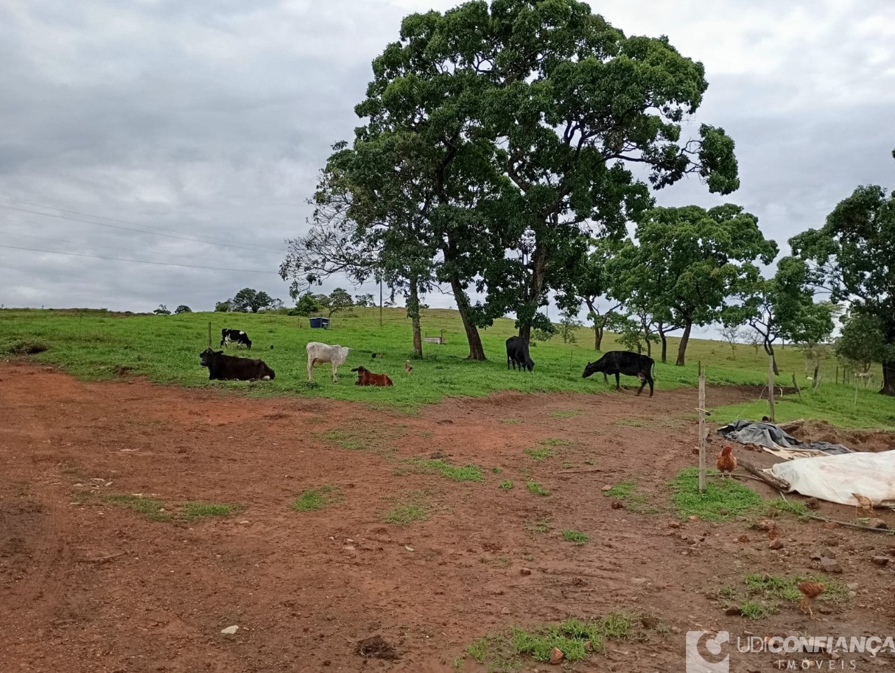 Fazenda à venda - Foto 10