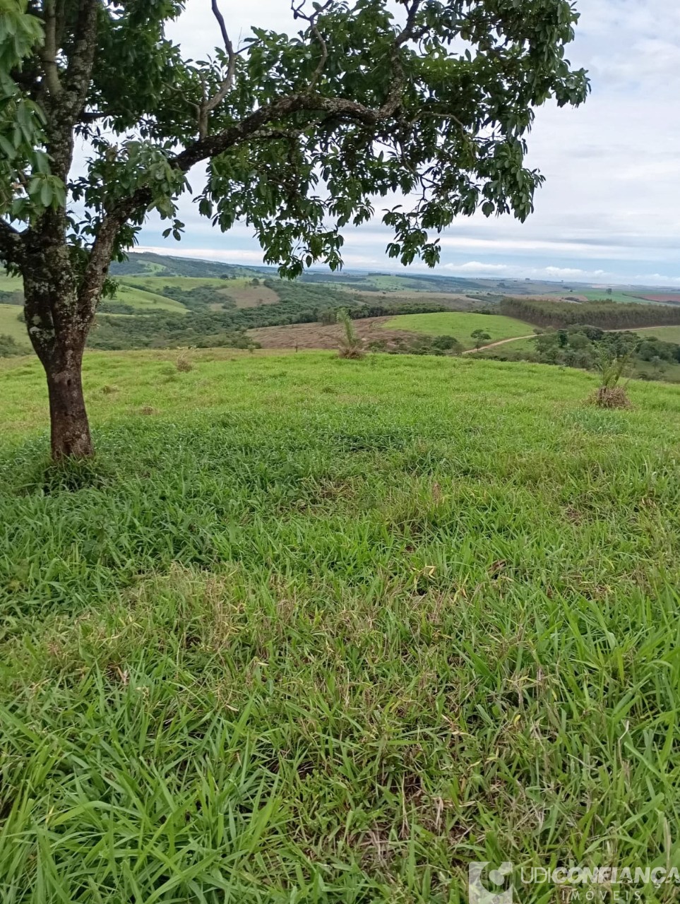 Fazenda à venda - Foto 3