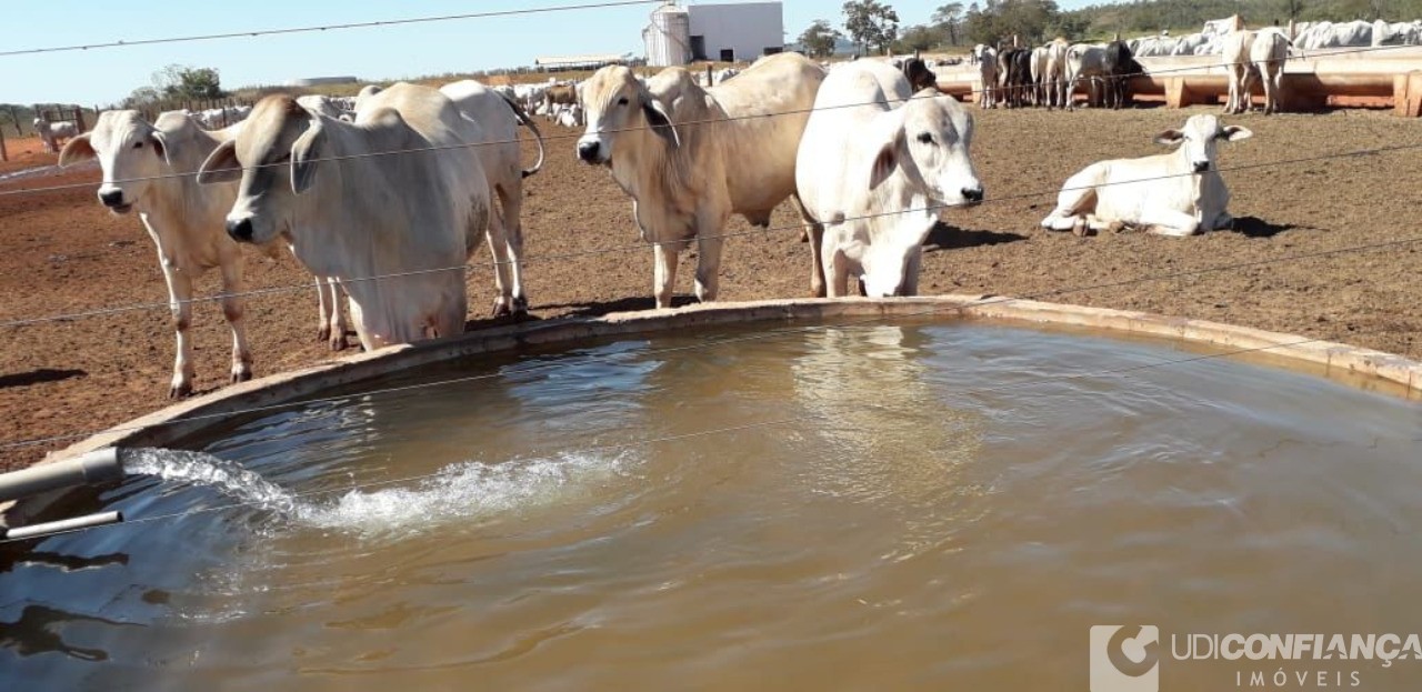 Fazenda à venda - Foto 4