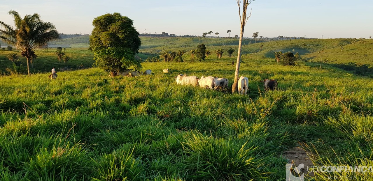 Fazenda à venda - Foto 3