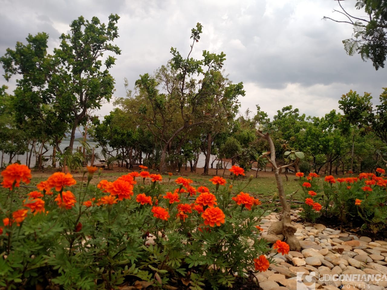 Fazenda à venda - Foto 2