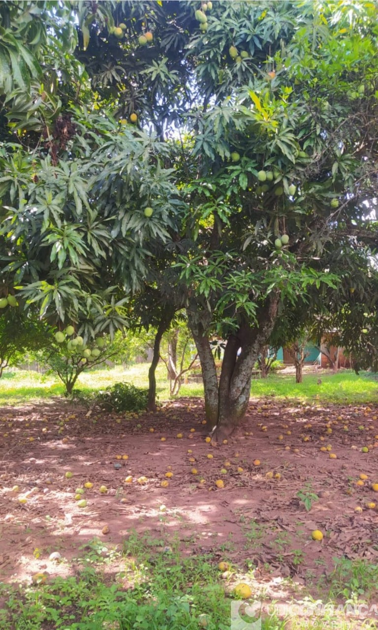 Fazenda à venda com 2 quartos - Foto 4