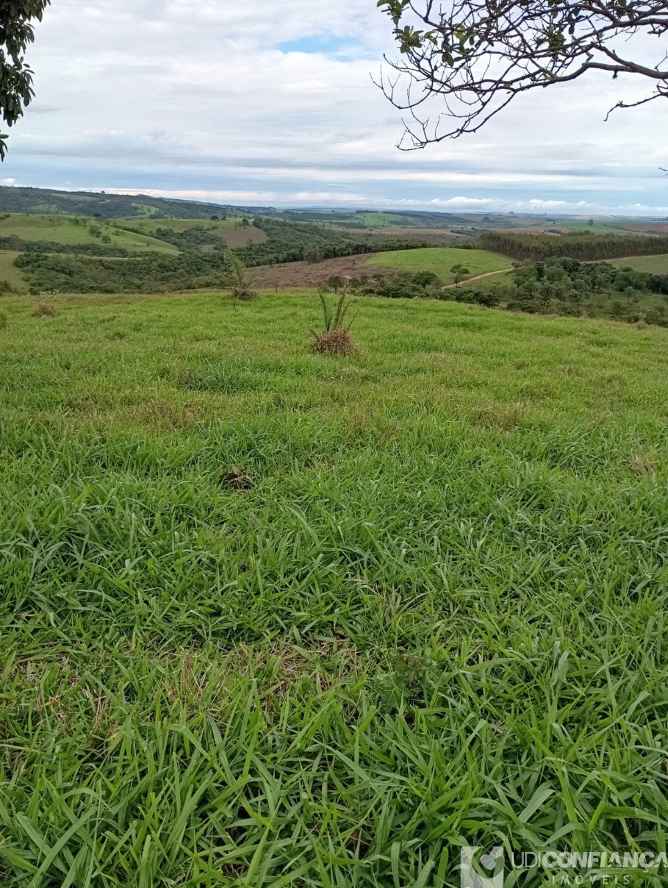 Fazenda à venda - Foto 5