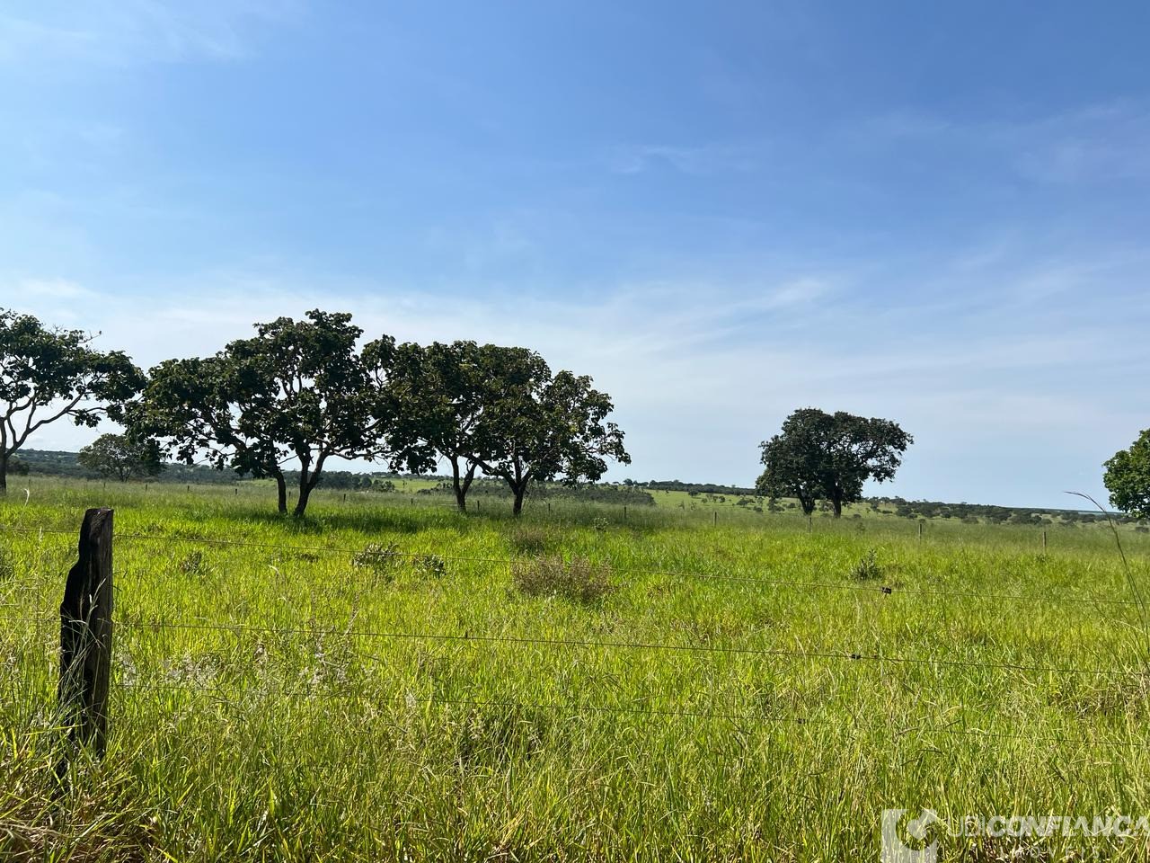 Fazenda à venda - Foto 4