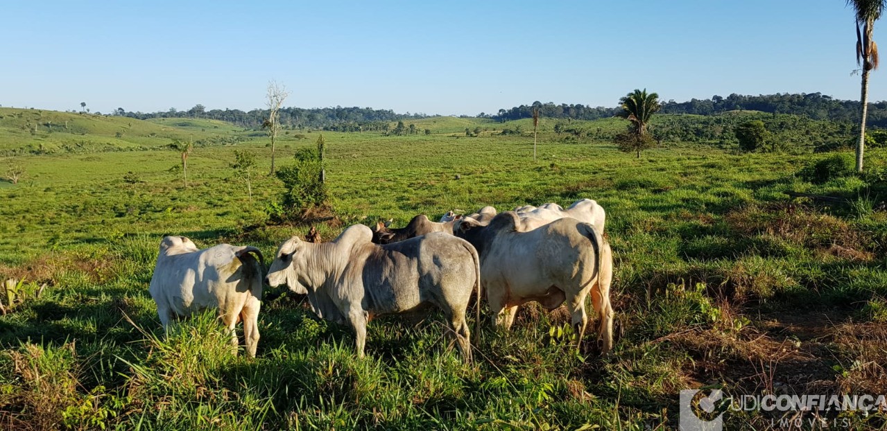 Fazenda à venda - Foto 1