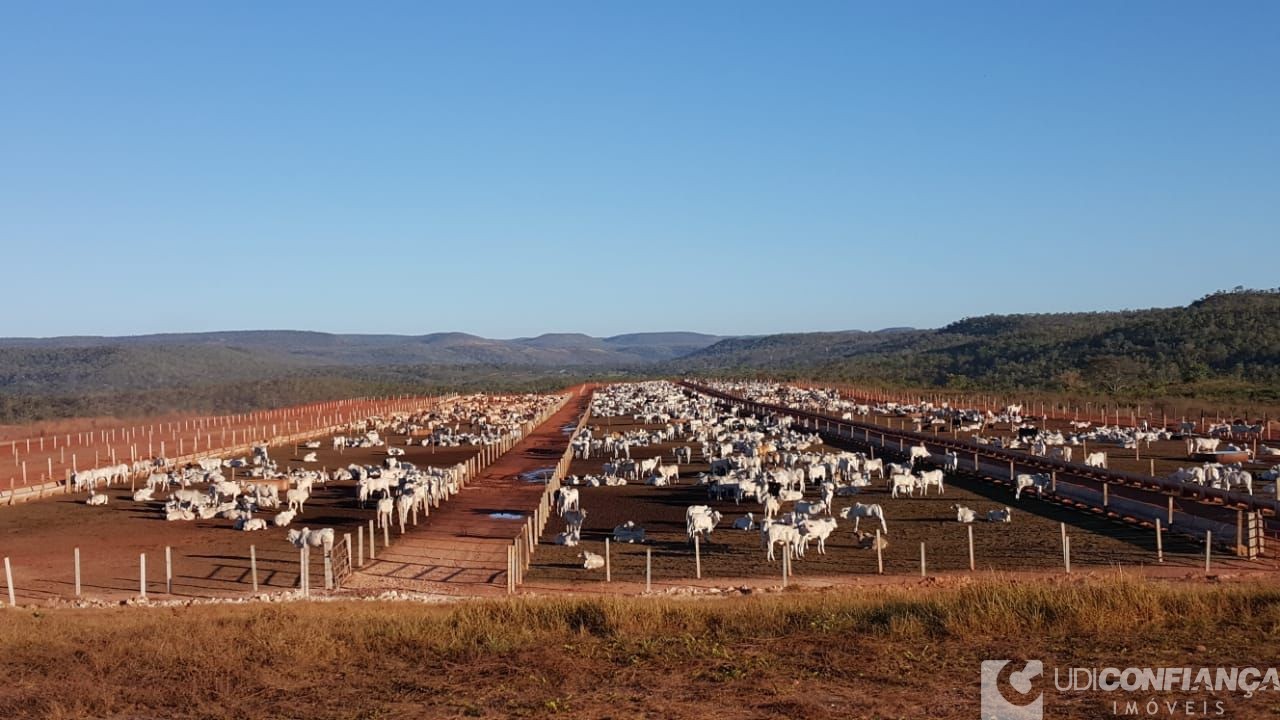 Fazenda à venda - Foto 1