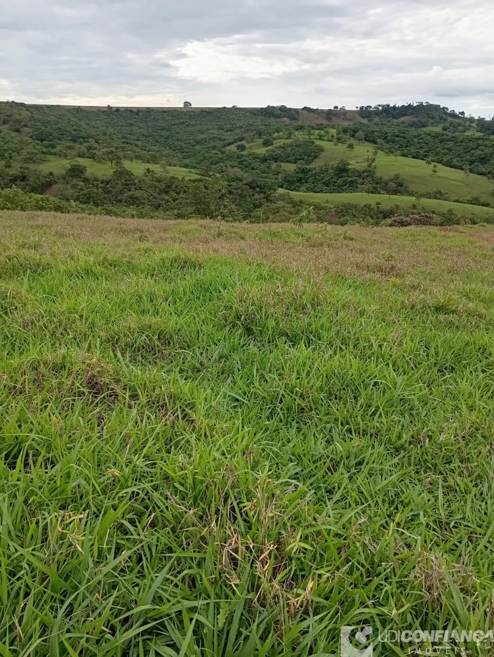 Fazenda à venda - Foto 2