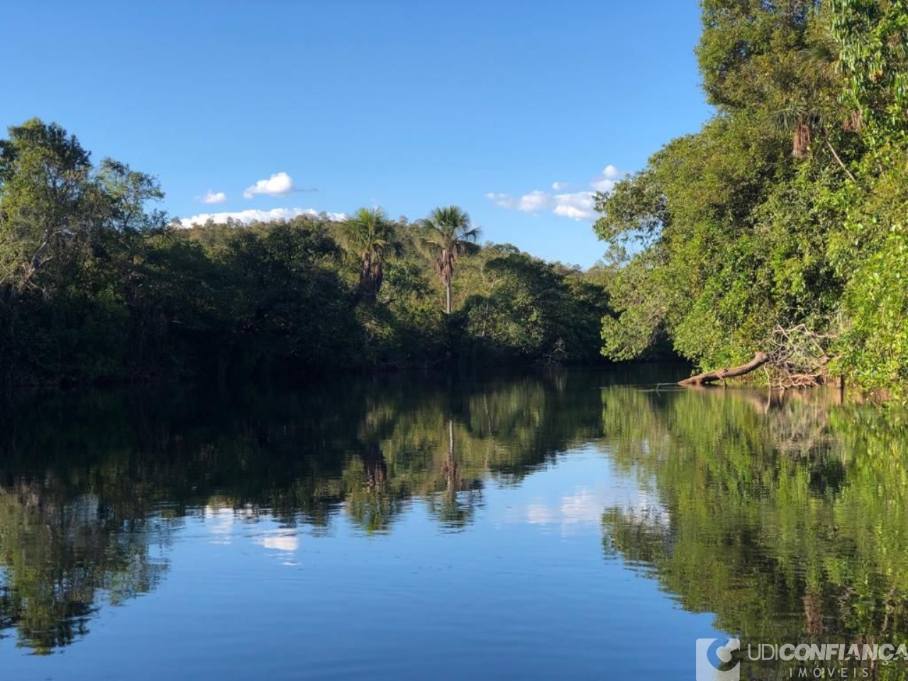 Fazenda à venda - Foto 3