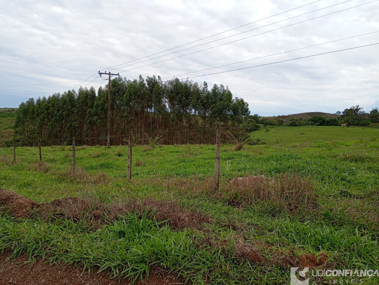 Fazenda à venda - Foto 6